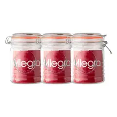 ALLEGRA - Pack De 3 Frascos Con Tapa De Vidrio 750ml