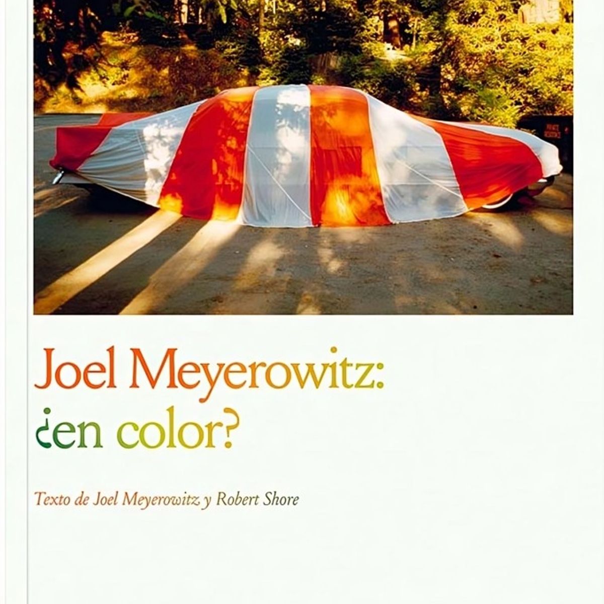 TOP10BOOKS - LIBRO Joel Meyerowitz: ¿en Color? - Joel Meyerowitz: ¿En Color?