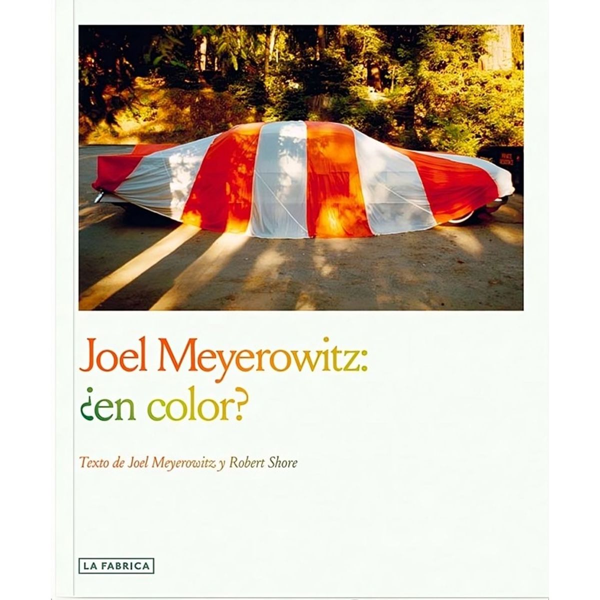 TOP10BOOKS - LIBRO Joel Meyerowitz: ¿en Color? - Joel Meyerowitz: ¿En Color?