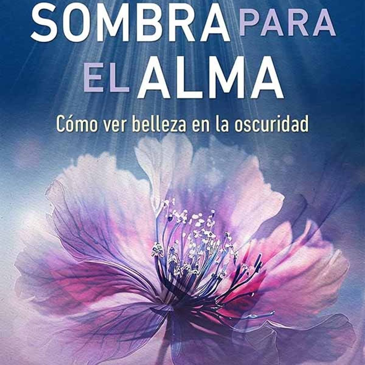 TOP10BOOKS - LIBRO Trabajo De Sombra Para El Alma - Trabajo De Sombra Para El Alma