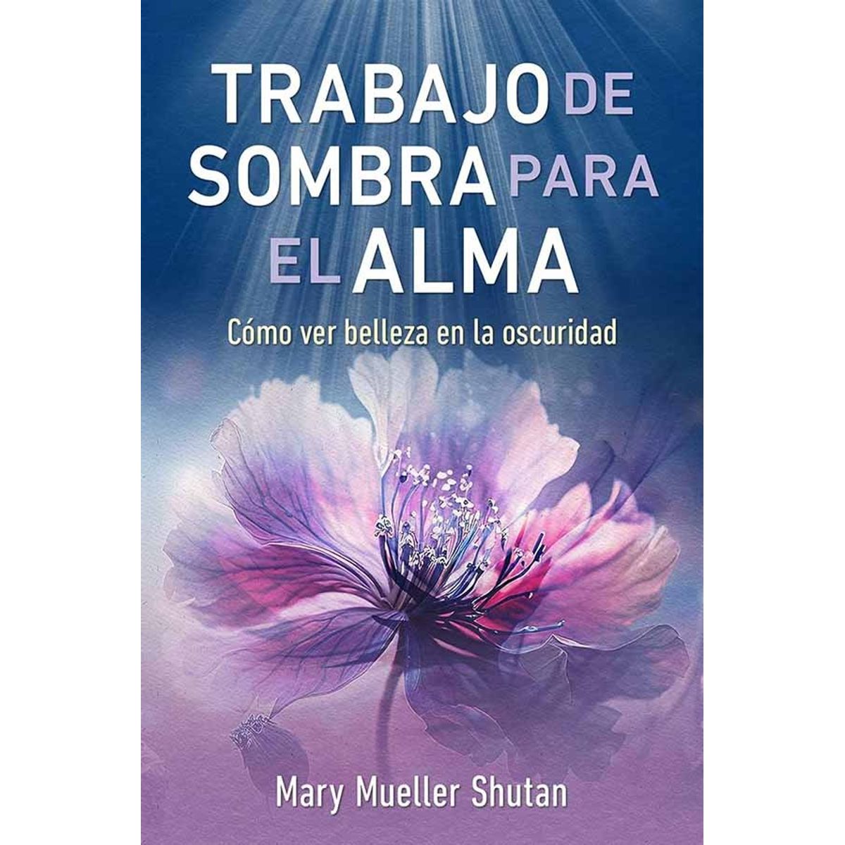 TOP10BOOKS - LIBRO Trabajo De Sombra Para El Alma - Trabajo De Sombra Para El Alma