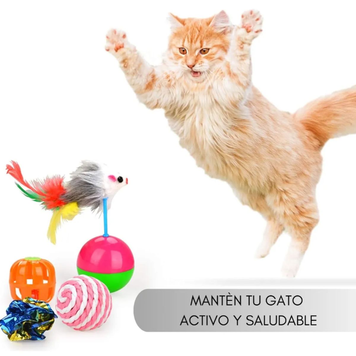 GENERICO - Juguetes para Gato 20 Piezas con Pluma, Varita, Bola, Ratones y Túnel