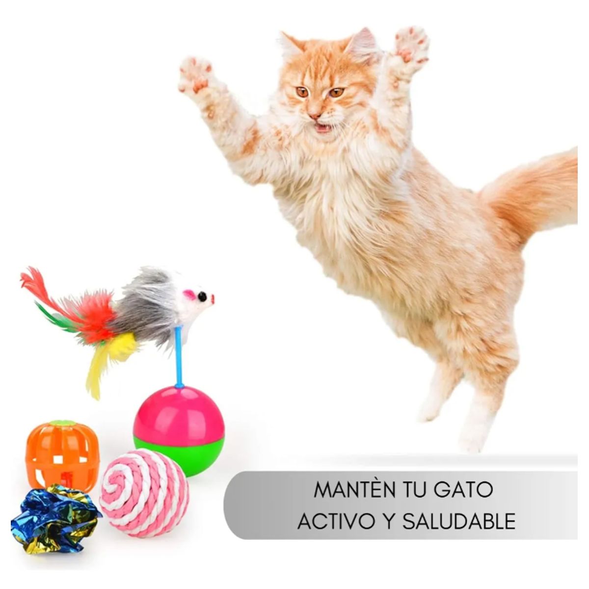 GENERICO - Juguetes para Gato 20 Piezas con Pluma, Varita, Bola, Ratones y Túnel