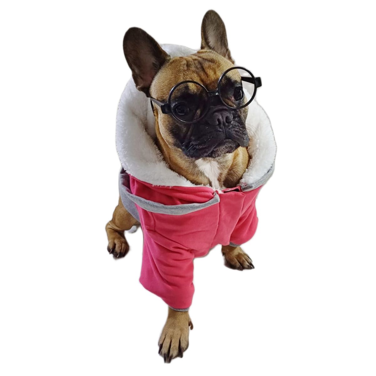 GENERICO - Poleron Chaleco Abrigo Para Perros Bulldog Frances - Sandia