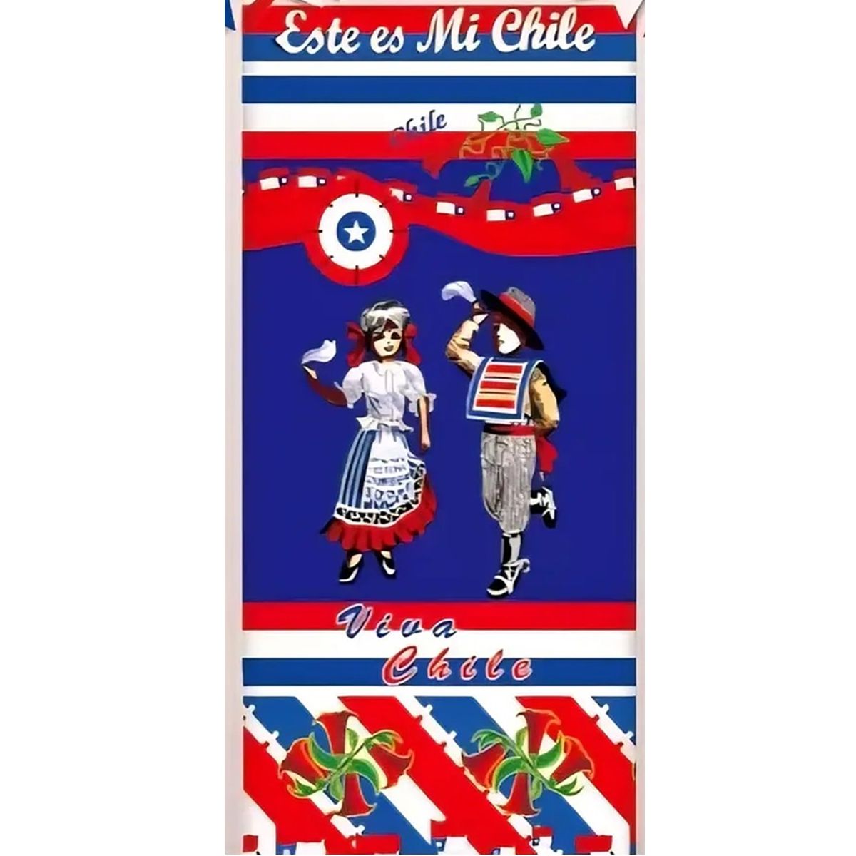 GENERICO - Funda De Puerta Decoración Fechas Patrias 100x210cm
