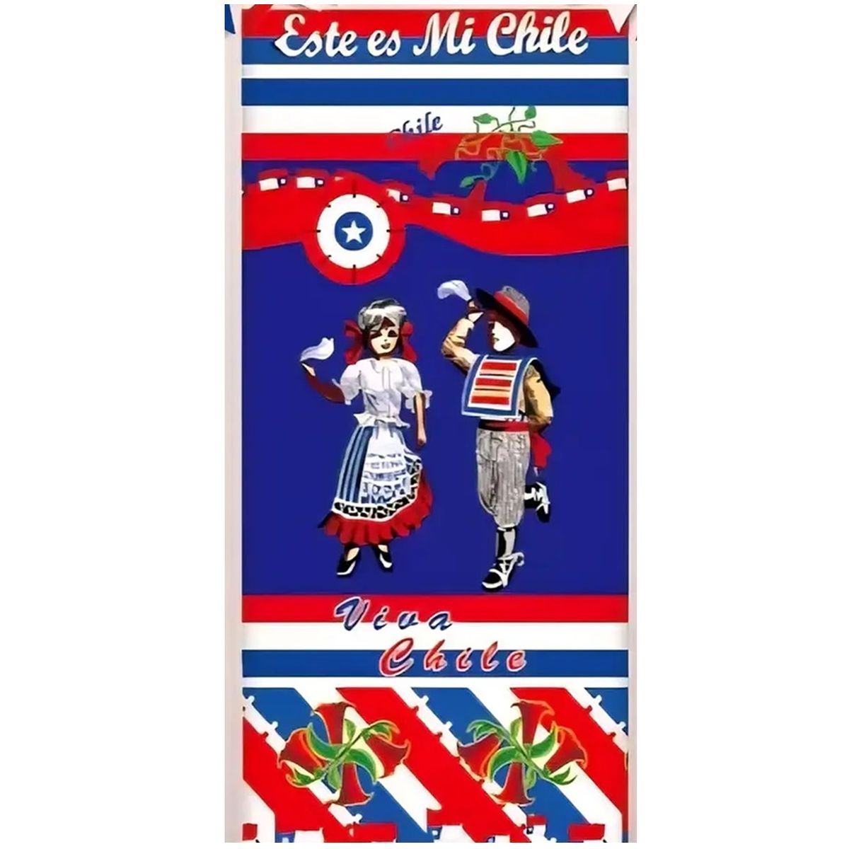 GENERICO - Funda De Puerta Decoración Fechas Patrias 100x210cm