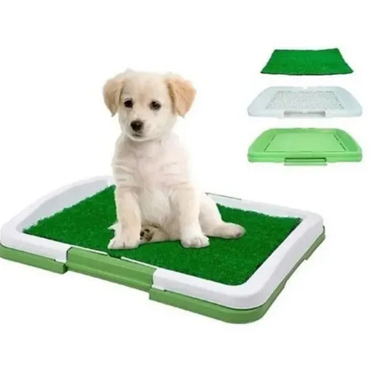 GENERICO - Baño Ecológico Perro Baño Mascotas Baño Ecológico 47x34x6cm