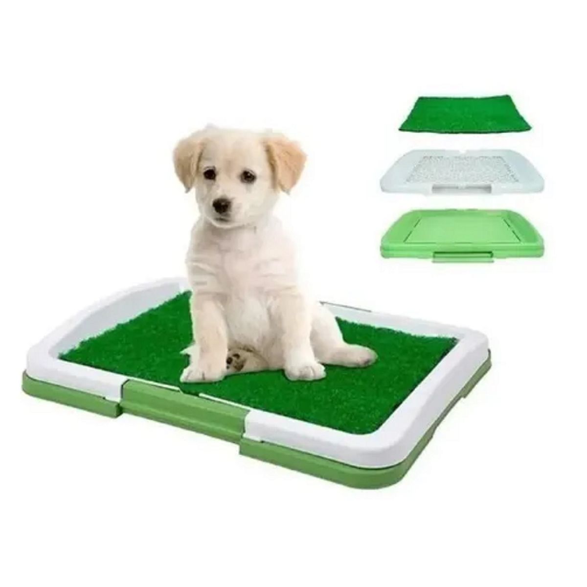 GENERICO - Baño Ecológico Perro Baño Mascotas Baño Ecológico 47x34x6cm