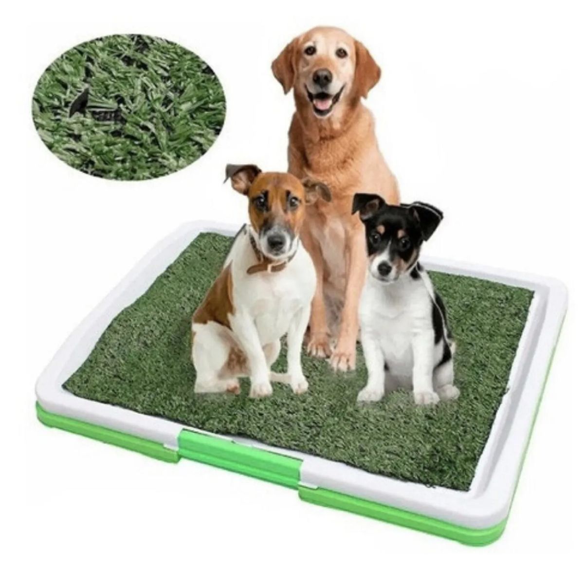 GENERICO - Baño Ecológico Sanitario Reutilizable Perros Y Mascotas Xxl