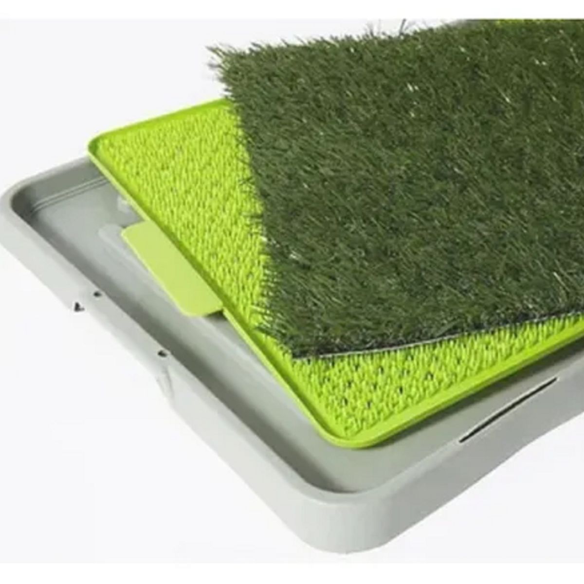 GENERICO - Baño Ecológico Sanitario Reutilizable Perros Y Mascotas Xxl