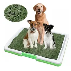 GENERICO - Baño Ecológico Sanitario Reutilizable Perros Y Mascotas Xxl