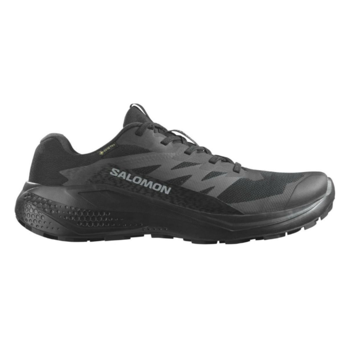 SALOMON - Zapatilla Hombre Alphaglide Gore-Tex Bl Salomon