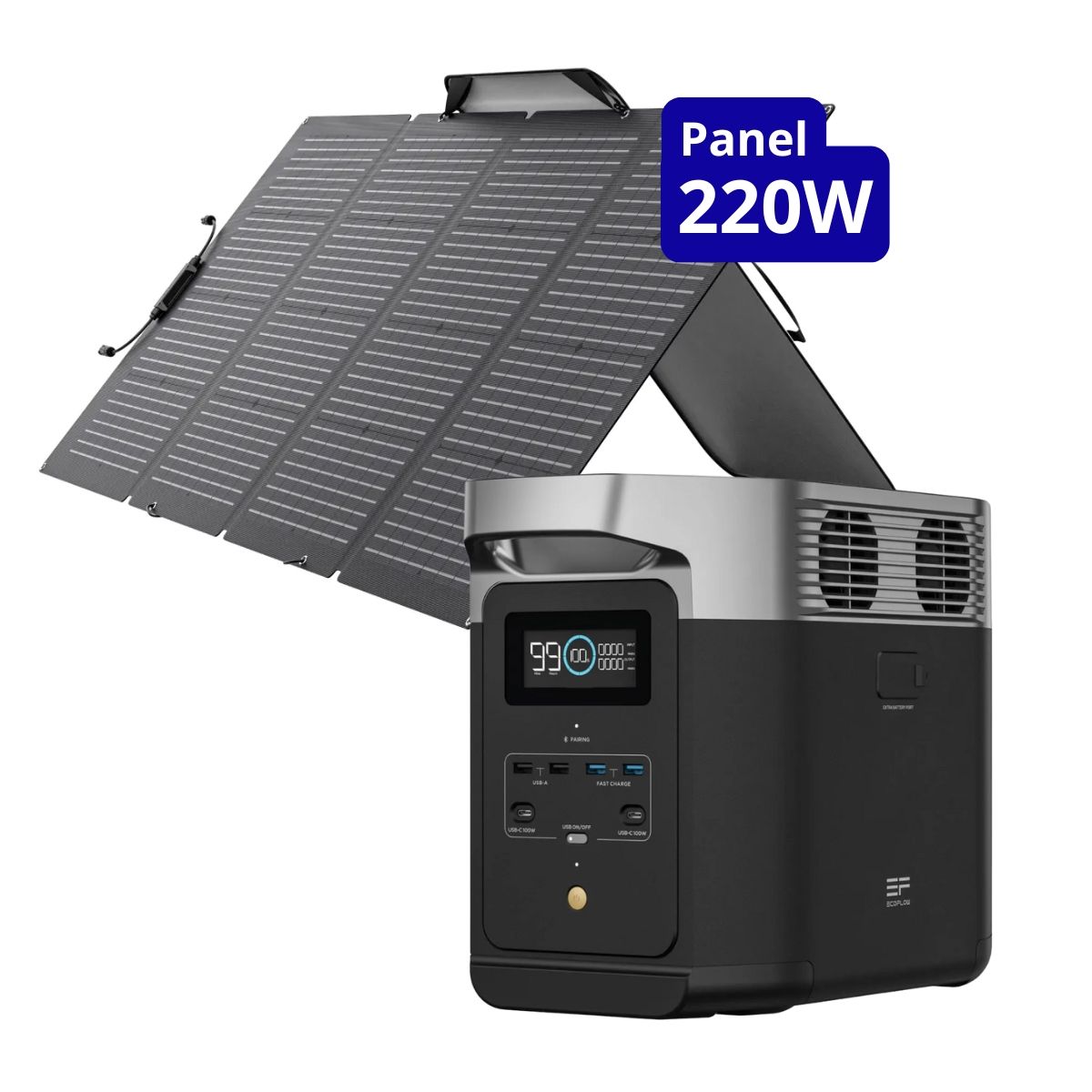 ECOFLOW - EcoFlow Delta 2 + Panel 220W