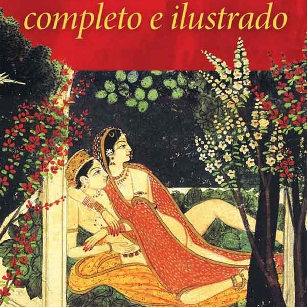 TOP10BOOKS - LIBRO El Kamasutra Completo E Ilustrado - El Kamasutra Completo E Ilustrado