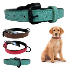 GENERICO - Collar Para Perro Eco Cuero 25mm Ancho 47cm Largo Verde Cla