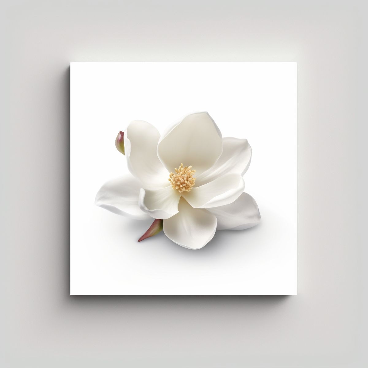 GENERICO - Cuadro Decorativo 8K UHD Magnolia En Luz Suave 70x70 Cm