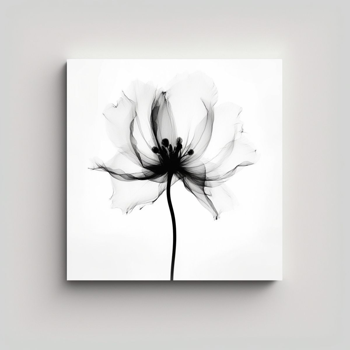 GENERICO - Cuadro Estilo X-Ray Dain L Tasker Flor En 80x80 Cm.