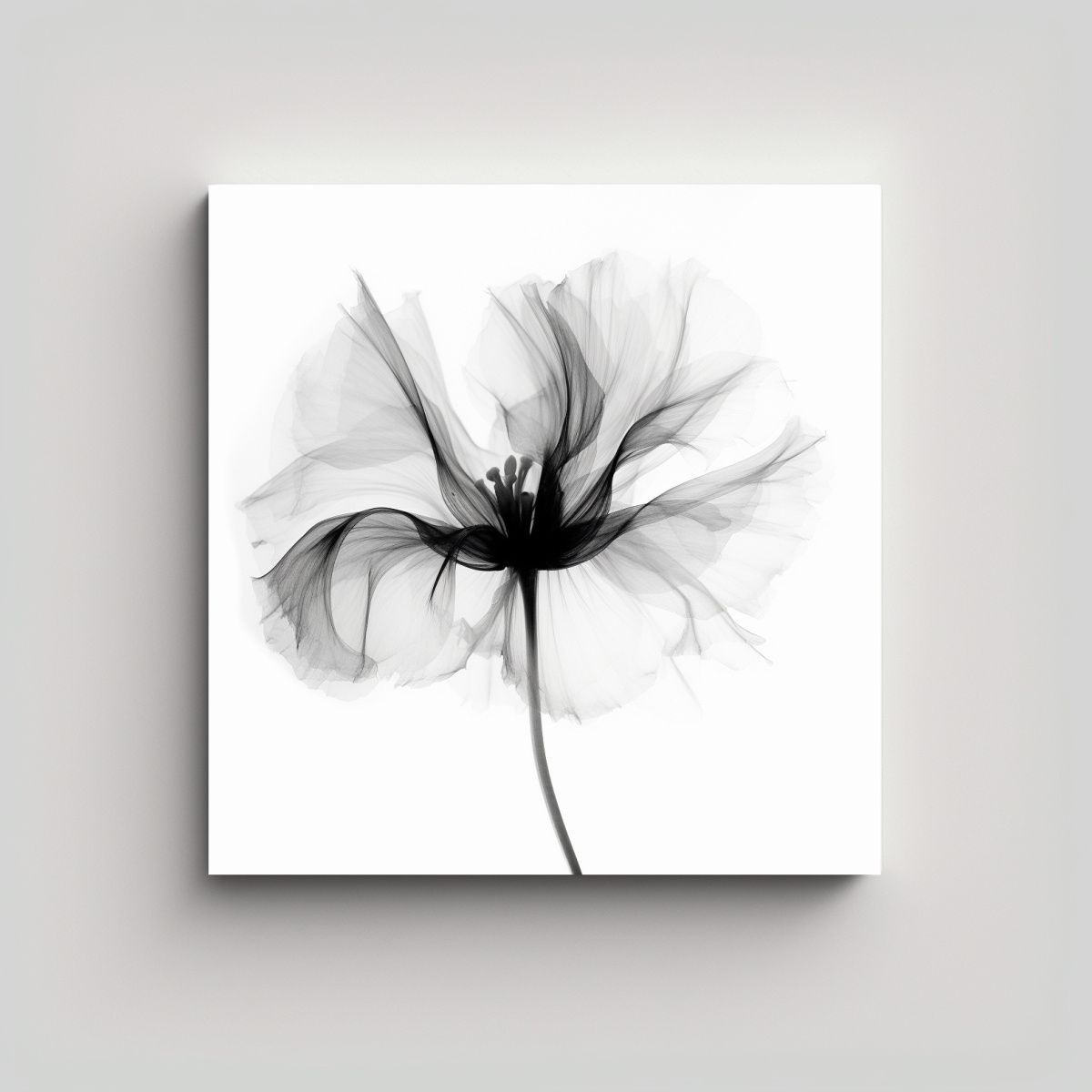 GENERICO - Flor Radiografía Lienzo Expresión Luminosidad 70x70 Cm