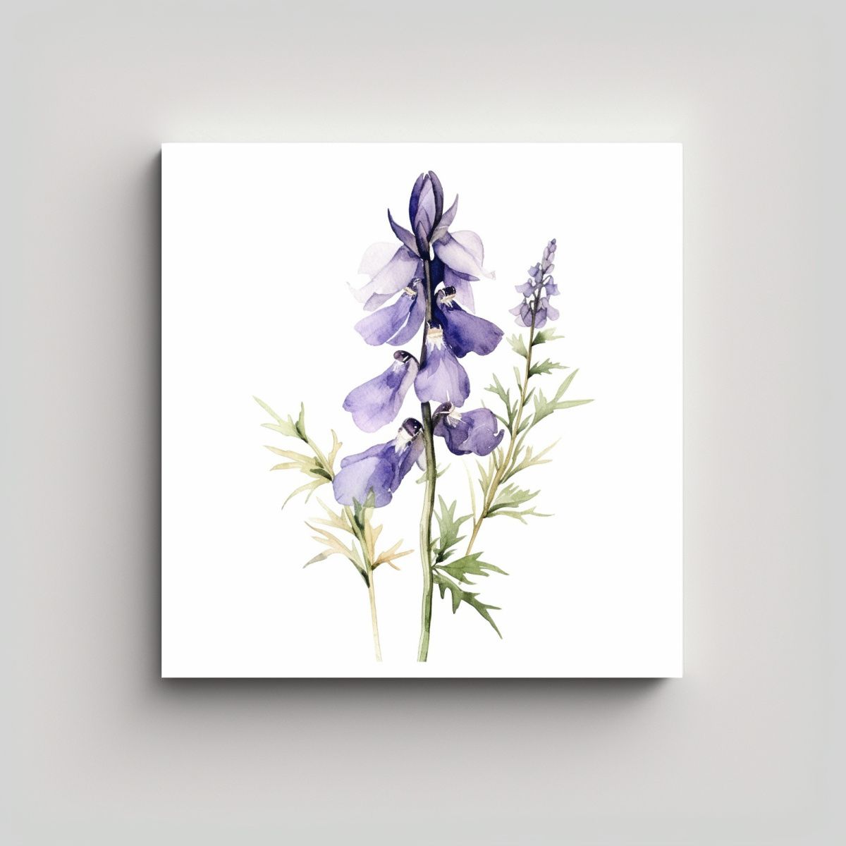 GENERICO - Cuadro Conceptual De Poder Con Flor De Monkshood 80x80 Cm