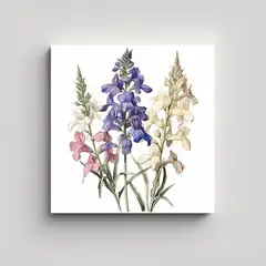 GENERICO - Ilustración Botánica Antigua De Espuela De 90x90 Cm