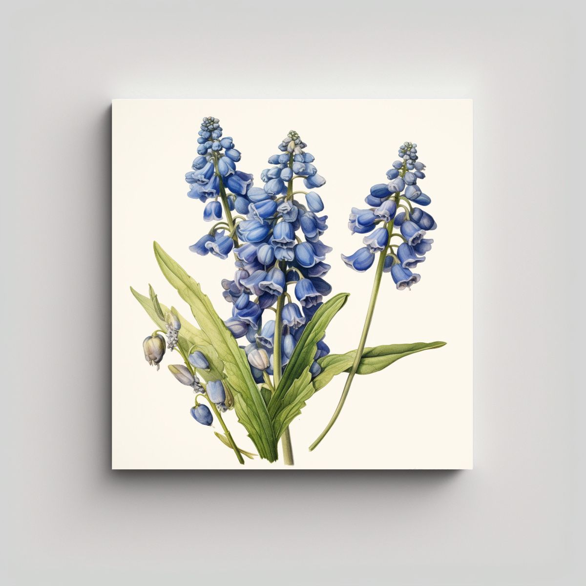 GENERICO - Lienzo Mágico Estilo Galería Con Hyacinthoides 90x90 Cm