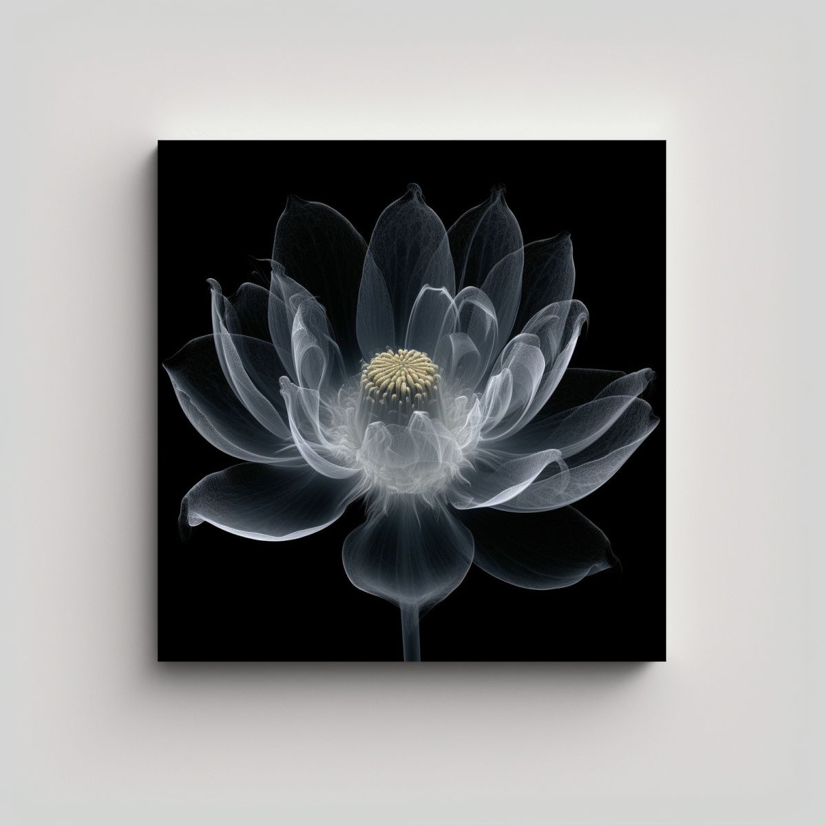 GENERICO - Fotografía Macro Transparente Lotus Cuadro 80x80 Cm