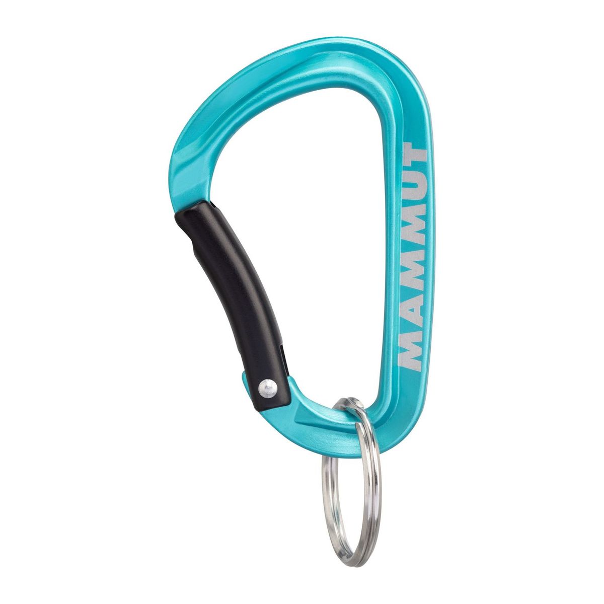 MAMMUT - Llavero Mini Carabiner Classic Keylock S Celeste Mammut