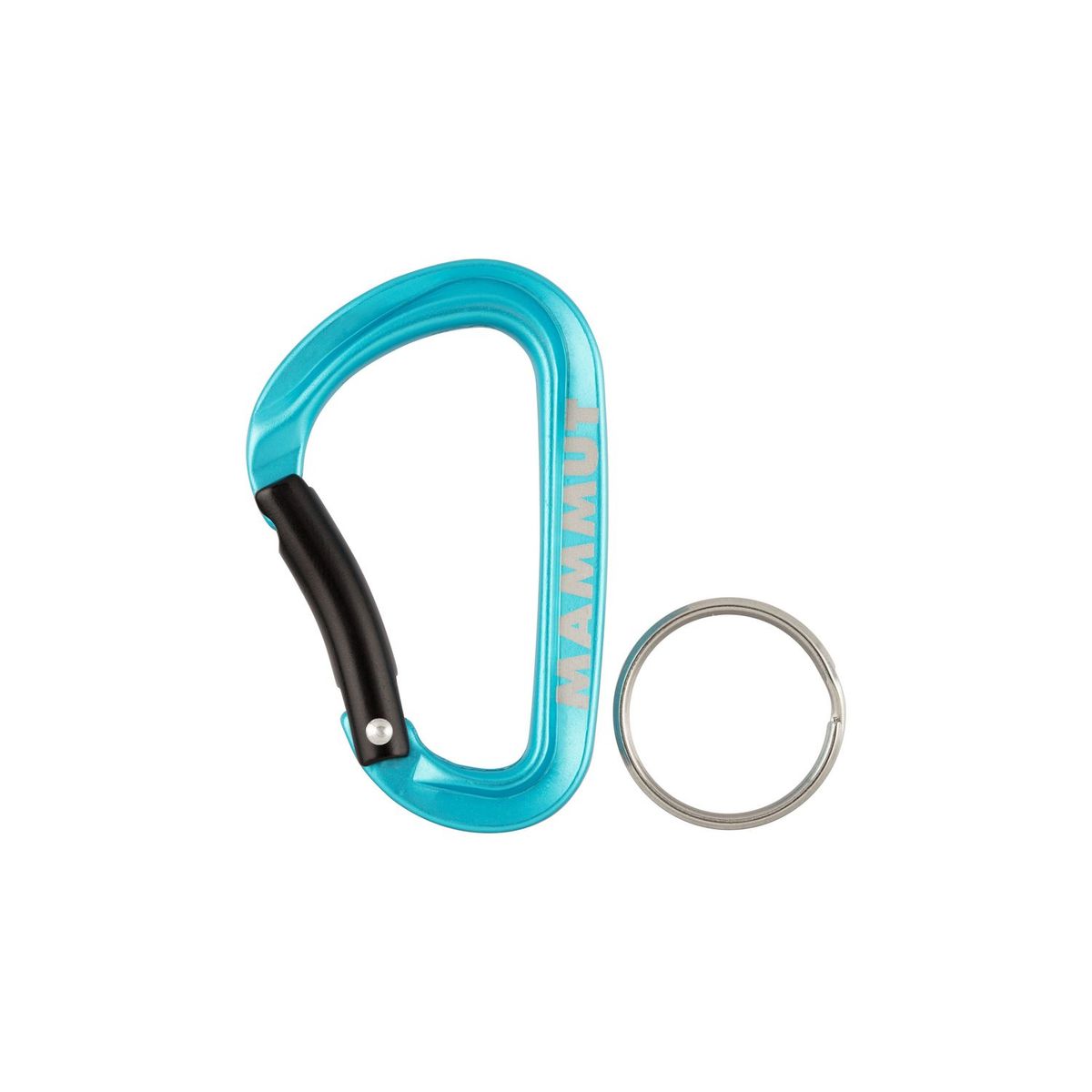 MAMMUT - Llavero Mini Carabiner Classic Keylock S Celeste Mammut