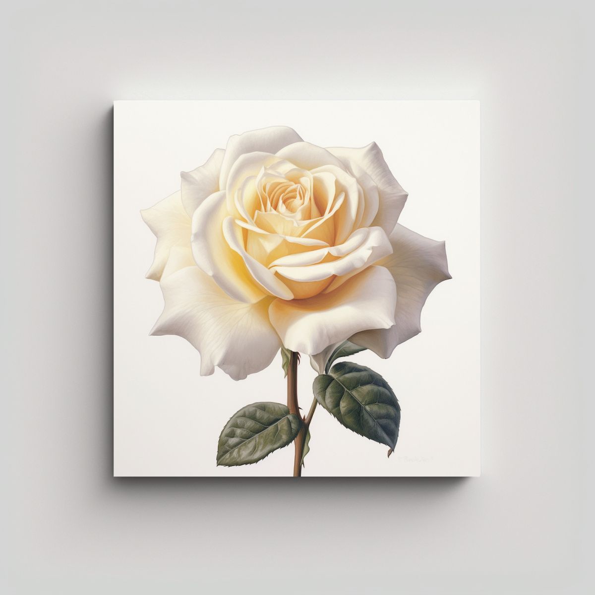 GENERICO - Impresionante Lienzo Acuarela De Rosa En Blanco 90x90 Cm