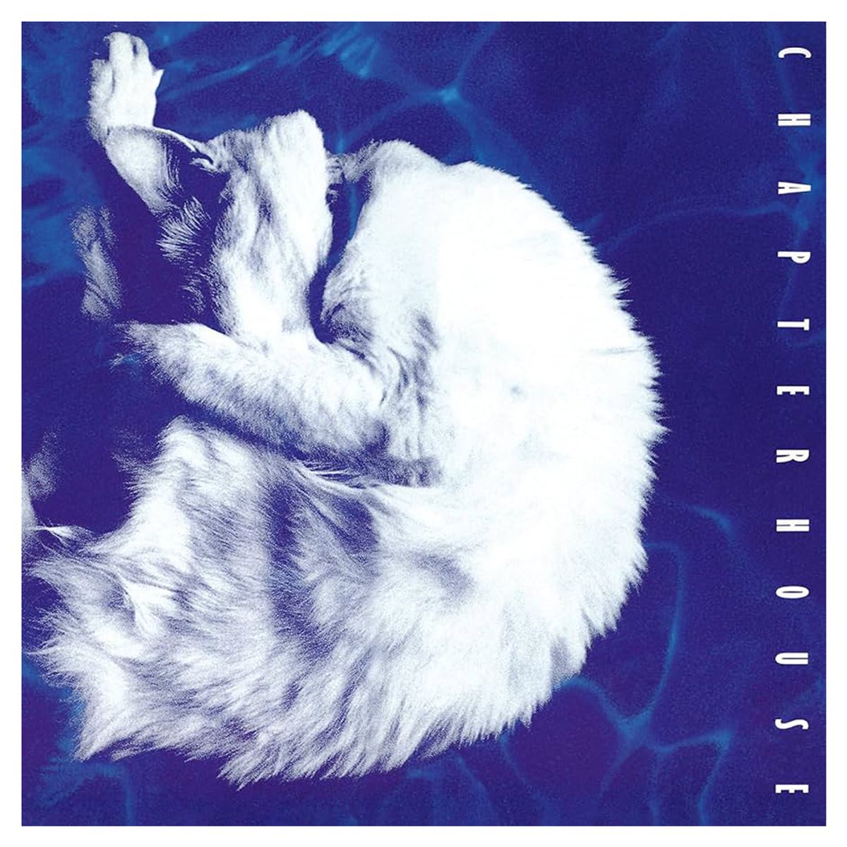 GENERICO - Chapterhouse - Whirlpool - Vinilo White Marbled