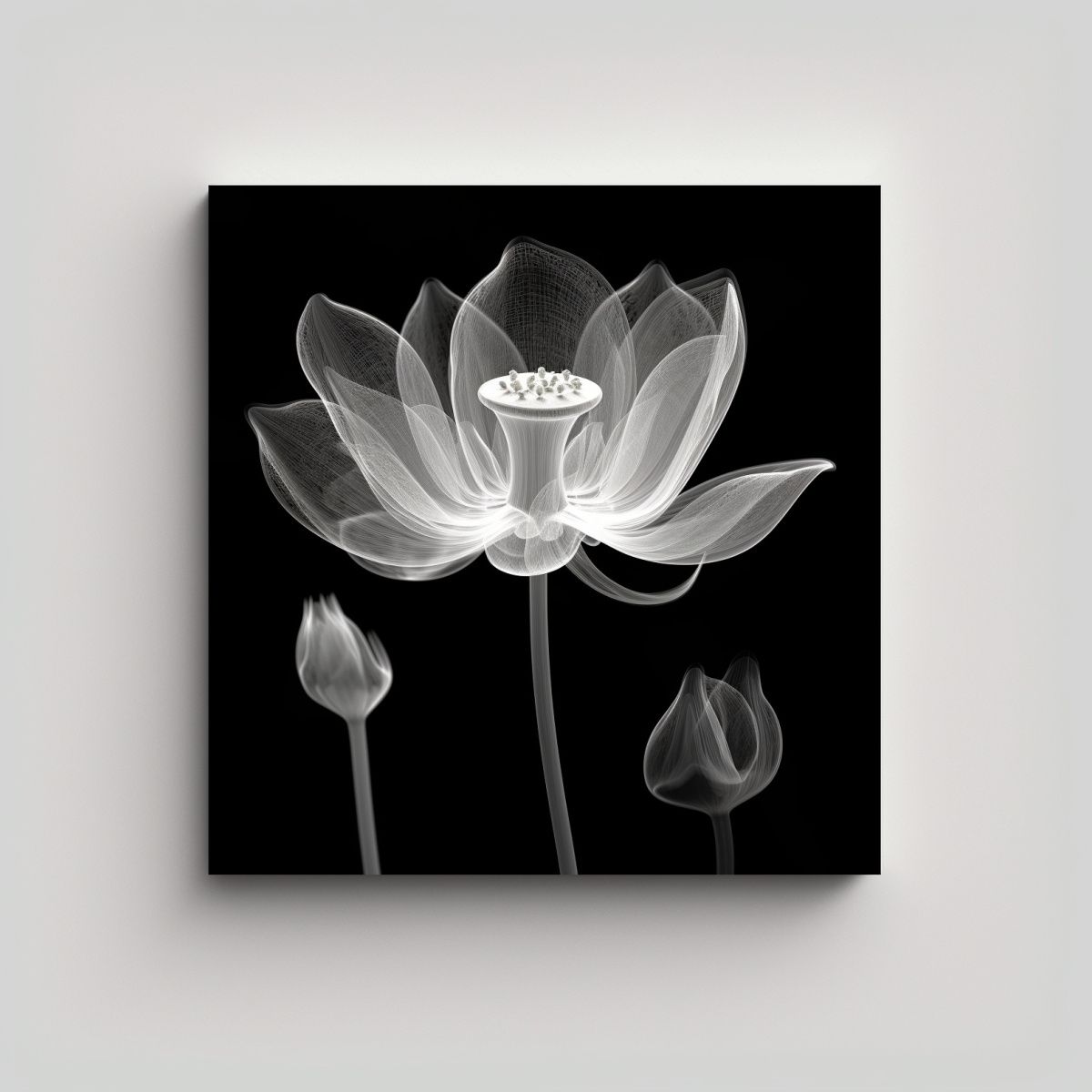 GENERICO - Cuadro Decorativo Lotus X-Ray De Alta Calidad 90x90 Cm.