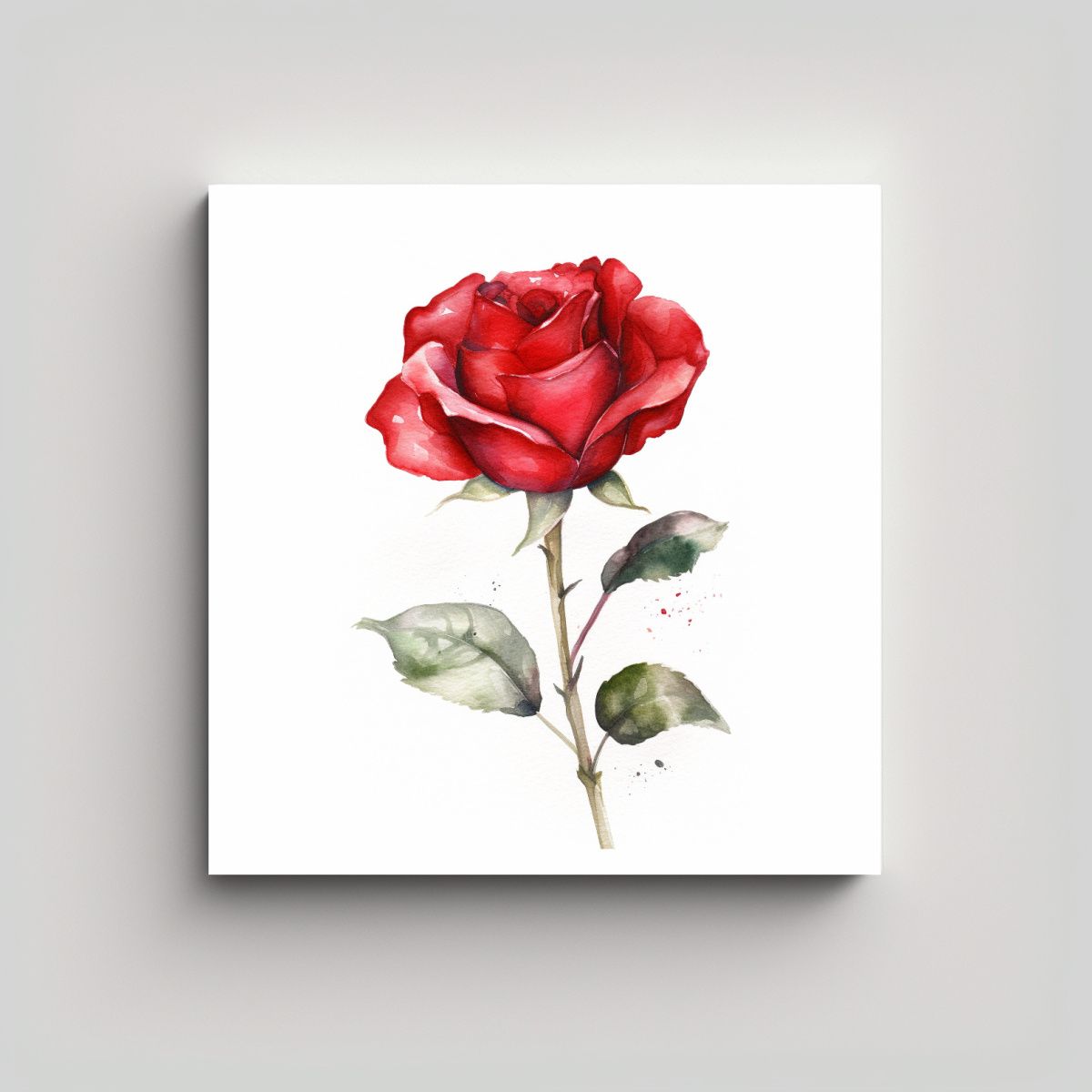 GENERICO - Cuadro Exclusivo De Rosa Roja En Acuarela Aislada 80x80 Cm