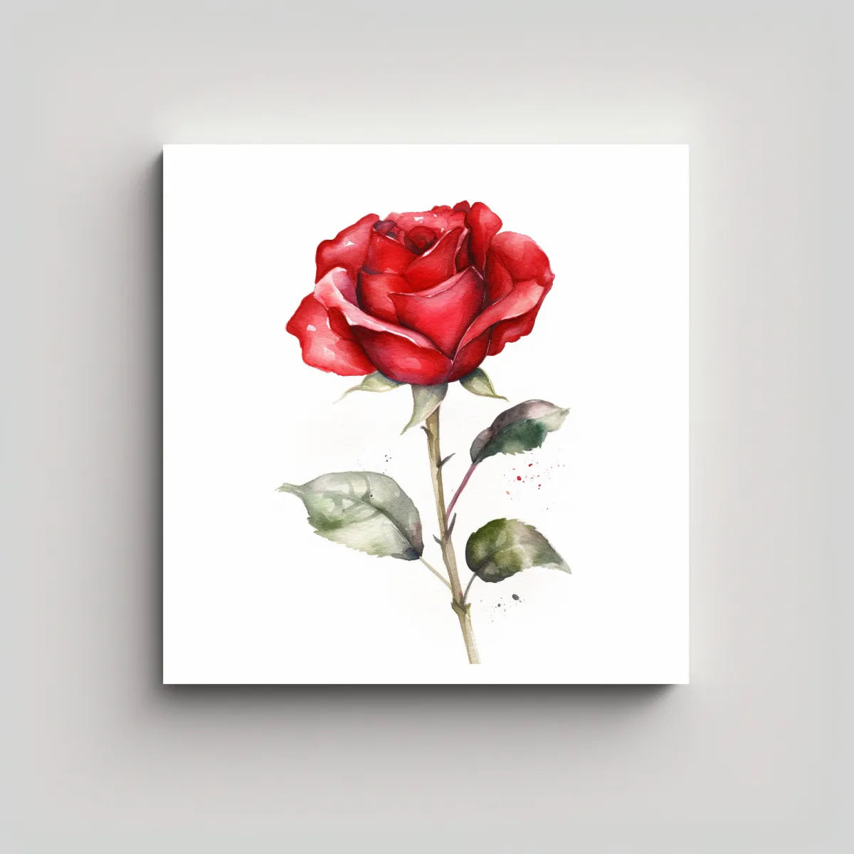 GENERICO - Cuadro Exclusivo De Rosa Roja En Acuarela Aislada 80x80 Cm