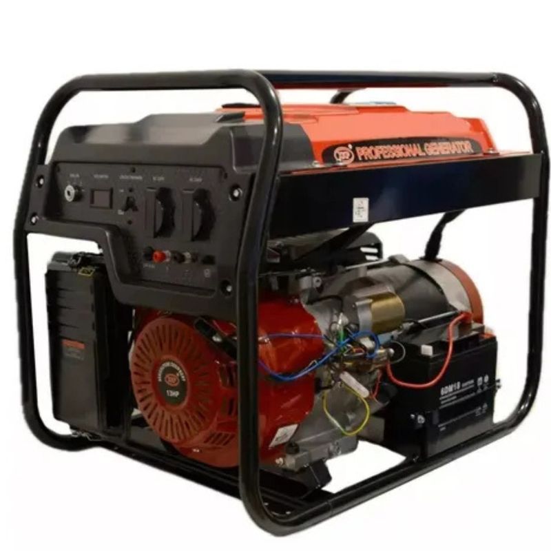 ALTERNATIVE - Generador 5000 Watts Prof. Japón - Partida Eléctrica