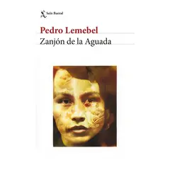 TOP10BOOKS - ZANJÓN DE LA AGUADA - PEDRO LEMEBEL