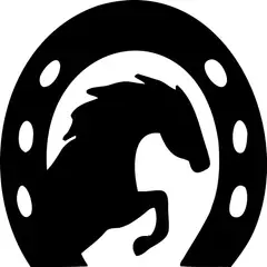 GENERICO - Sticker Caballo Herradura Horse Equitación Auto Camioneta