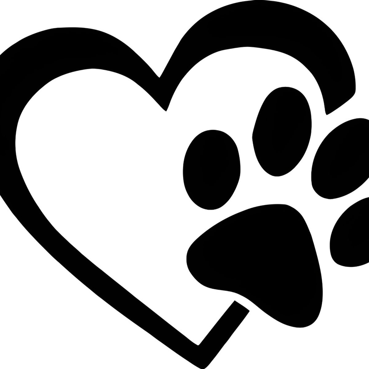 GENERICO - Sticker Garra Corazón Pata Perro Mascota Auto Camioneta