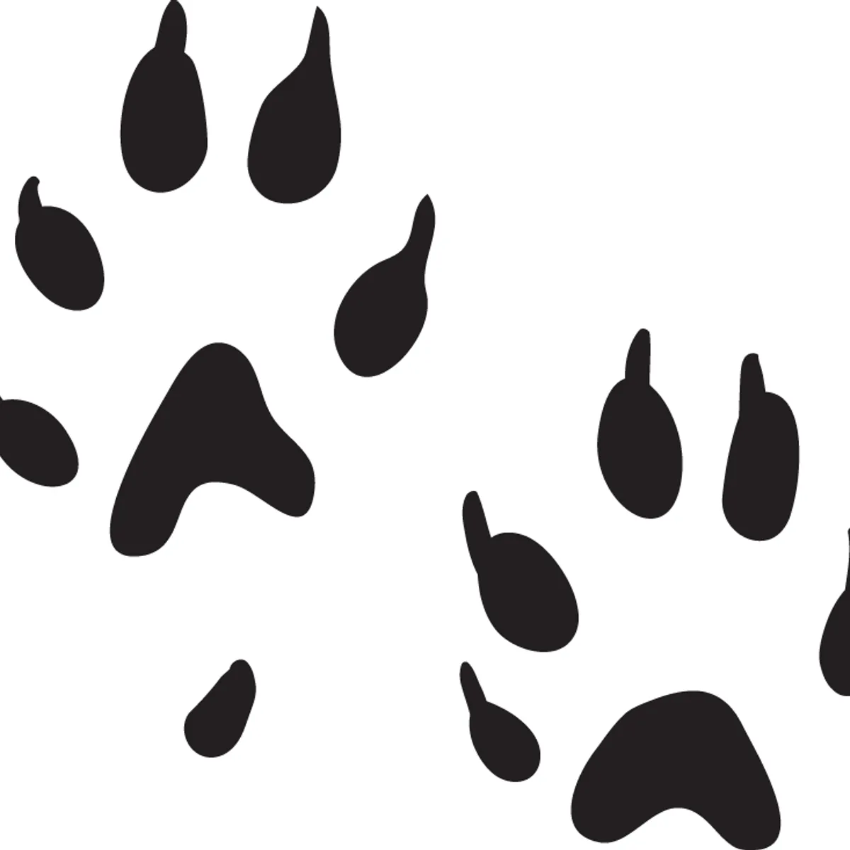 GENERICO - Sticker Huellas Patas Paw Huron Mustela Putorius Furo