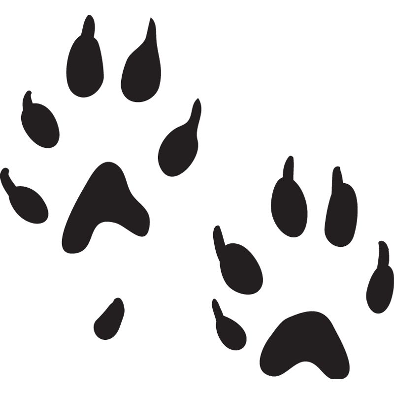 GENERICO - Sticker Huellas Patas Paw Huron Mustela Putorius Furo