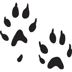 GENERICO - Sticker Huellas Patas Paw Huron Mustela Putorius Furo