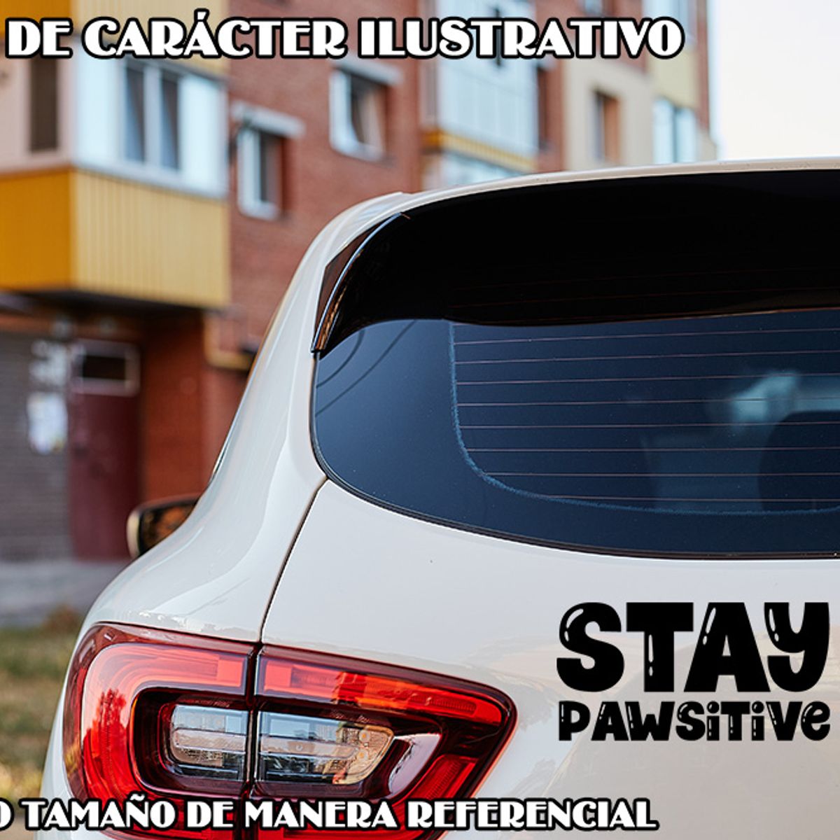 GENERICO - Sticker Stay Pawsitive Cat & Dog Lovers Auto Camioneta