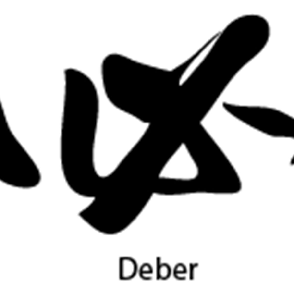 GENERICO - Sticker Kanji Roomaji Kanas Carácter Chino Auto Camioneta