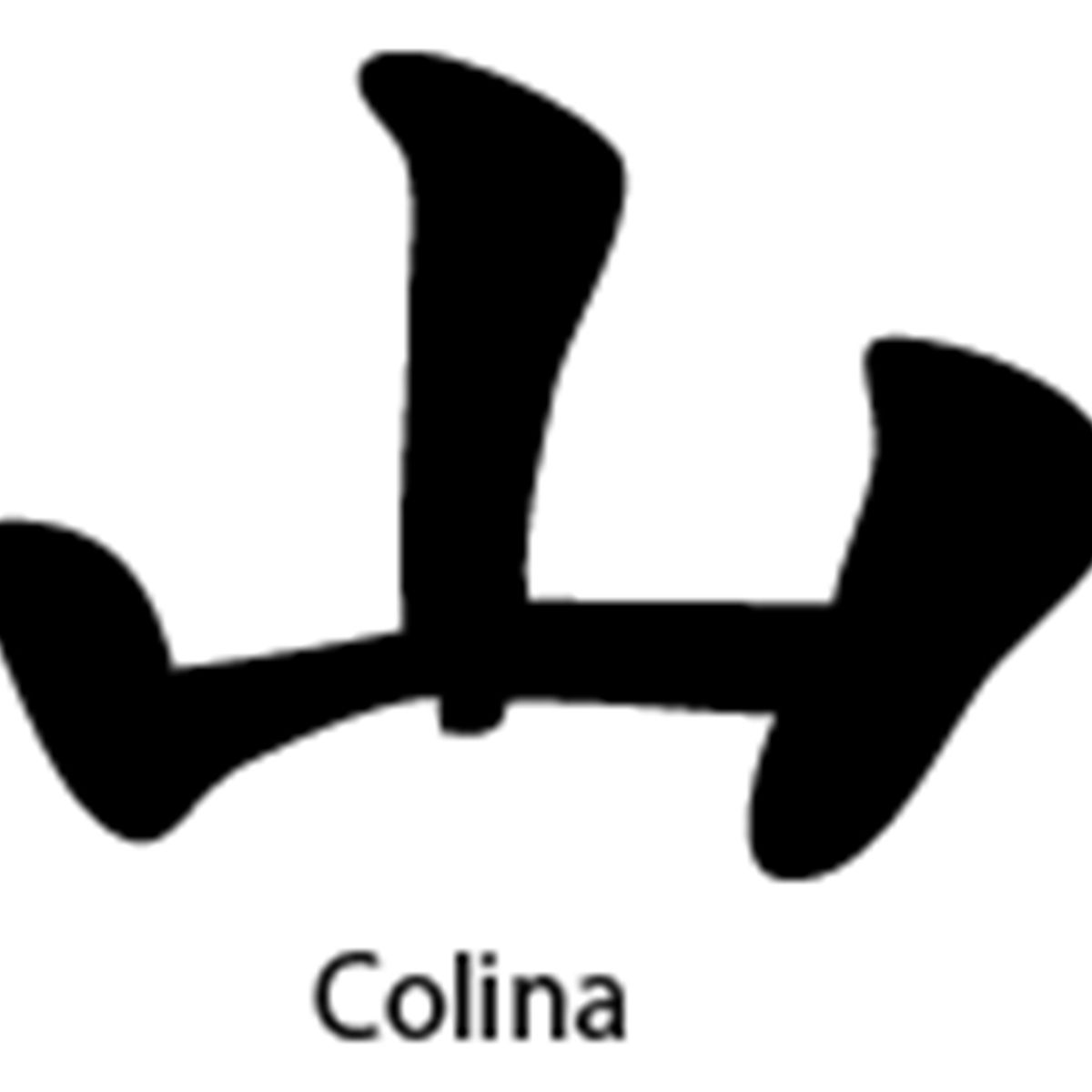 GENERICO - Sticker Kanji Roomaji Kanas Carácter Chino Auto Camioneta