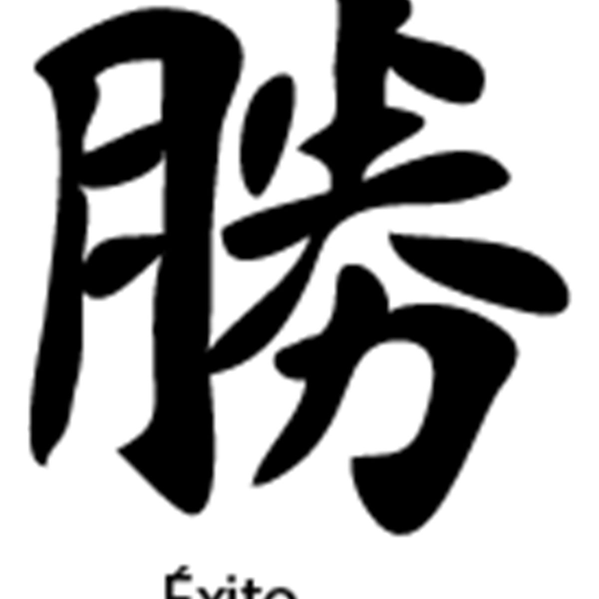 GENERICO - Sticker Kanji Roomaji Kanas Carácter Chino Auto Camioneta
