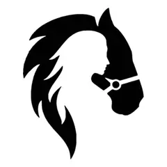 GENERICO - Sticker Head Horse Lady Cabeza Caballo Mujer Auto Camioneta