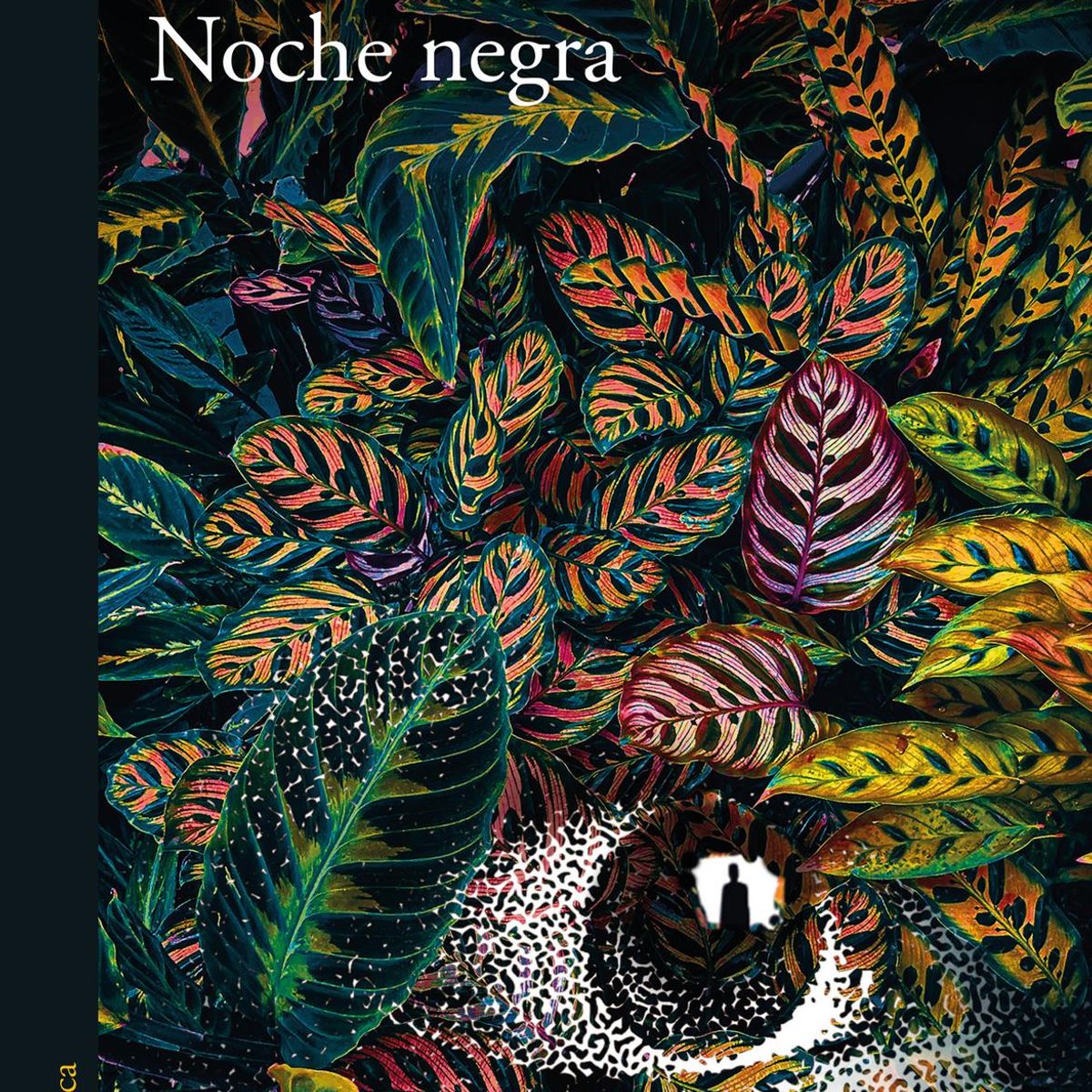 ALFAGUARA - Libro Noche negra - Pilar Quintana