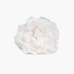 LOUNGE - Pinza Mujer Flor Textura Botanicals Blanco