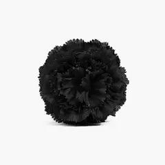LOUNGE - Pinza Mujer Flor Capas Botanicals Negro