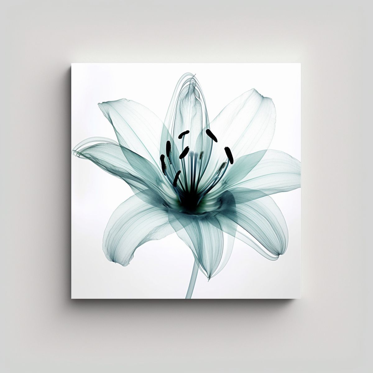 GENERICO - Cuadro De Equilibrio Rayos-X De Lirio En Aqua 100x100 Cm