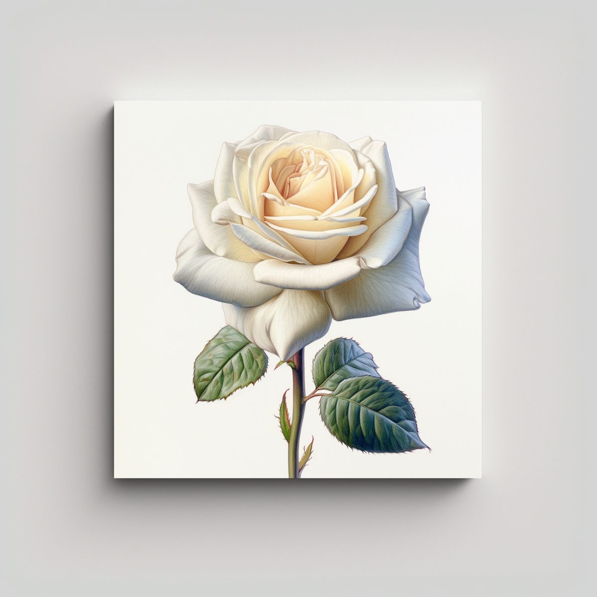 GENERICO - Cuadro De Rosa Blanca Inspiración Y 100x100 Cm